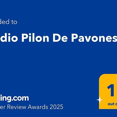 Studio Pilon De Pavones 帕沃内斯 外观 照片